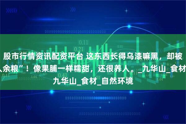 股市行情资讯配资平台 这东西长得乌漆嘛黑，却被称为“仙人余粮”！像果脯一样糯甜，还很养人。_九华山_食材_自然环境