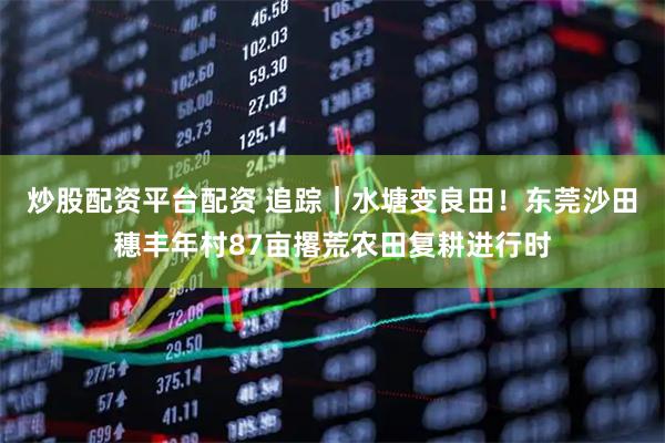 炒股配资平台配资 追踪｜水塘变良田！东莞沙田穗丰年村87亩撂荒农田复耕进行时
